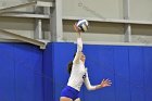 Volleyball vs MHC  Wheaton Women's Volleyball vs Mount Holyoke College. - Photo by Keith Nordstrom : Wheaton, Volleyball